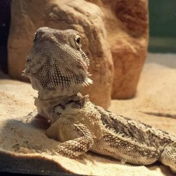 Meet your Posher, Brooke - Picture 1 of 1